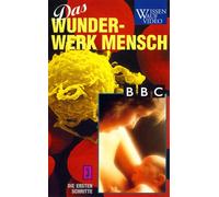 Wunderwerk Mensch, Teil 3: Die ersten Schritte [Alemania] [VHS]