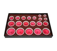 WUSHIER Juego de prensas para cajas de relojes, 20 piezas, kit de herramientas con inserciones de bisel de aleación de aluminio para reparación de relojes y sustitución de pilas, juego uni