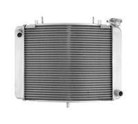 WUTBHGQXWIP Refrigeración del refrigerador del radiador de la Motocicleta Compatible con Honda NSR250 NSR 250 1991-1998