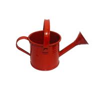 WUUISDNX Regadera pequeña de Metal para Exteriores para niños, regadera para macetas, minibotella de Agua de Hierro con asa, mi