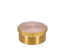 WUUKEPSG 1 Adaptador de Conector de Acoplador de Cabeza Hexagonal para Tubería de Latón con Roscaho de 1/8", 1/4", 3/8", 1/2" Y 3/4"/Brass Male Plug/1Pcs_1.2 Bsp