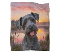 WUXHRL Manta Polar Terrier Kerry Blue, Suave Y Cálida Manta Hierba Río para Hogar Y Oficina Regalo Diferente para Niñas, Niños, Adultos, 60x80inch(150x200cm)