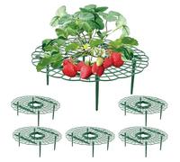 Wuyue Hua Paquete de 5 Soportes de Cultivo y Protección de Fresas - Soporte para Plantas de Fresa