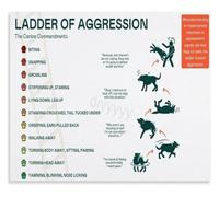 WVPJJNXAFN Dog Warning Signs Ladder Of Aggression Poster Educational Canvas Wall-Art for Pet Owners Home Decor(Framed,08x12inch(20x30cm))