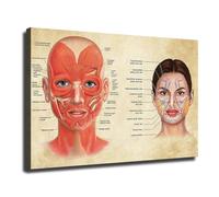 WVPJJNXAFN Facial Anatomy Art Poster, Medical Beauty Plastic Massage Training Chart, HD Canvas Print Wall Art for Clinic, Living Room, Bedroom & Office Decor(Framed,08x12inch(20x30cm))
