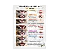 WVPJJNXAFN Feline Age Chart Poster Cat Age Estimation By Teeth Veterinary Educational Canvas Wall-Art For Animal Hospital(Framed,12x18inch(30x45cm))
