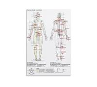 WVPJJNXAFN Five Elements Theory Acupuncture Chart - Chinese Meridian Pathways Wall-Art for Modern Living Room Home Office Decor(Framed,16x24inch(40x60cm))