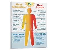 WVPJJNXAFN Heat Exhaustion Vs Heat Stroke Symptoms Comparison Poster First Aid Guide Infographic Wall-Art Home Office Decor(Framed,16x24inch(40x60cm))