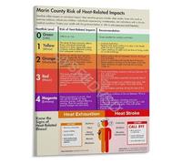 WVPJJNXAFN Heat Stroke Risk Levels Poster Heat Related Illness Prevention Guide Educational Infographic Canvas Wall-Art(Framed,12x18inch(30x45cm))
