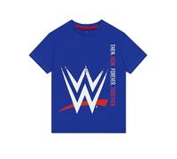 WWE Camiseta Niño, Camiseta Niño Manga Corta, Ropa de Niños Wrestling 12-13 Años