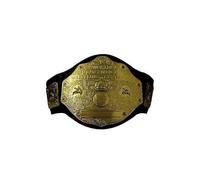 WWE Championship Belt, Metal, O