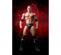 Wwe The Rock Dwayne Johnson (Wrestling) S. H. Sh Figuarts Figuras Tamashii