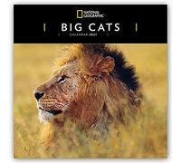 WWF Big Cats - Calendario Carrusel 2024: Calendario Carrusel original [multilingüe] [Calendario] (calendario de la bodega)