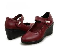 WXDTW Cuñas de punta cerrada de moda para mujer, elegantes, informales, con plataforma Mary Jane, mocasines gruesos, antideslizantes, zapatos de trabajo, suela suave, ligeros, antideslizantes, calzado