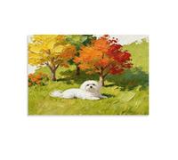 WXLWHR Cuadro En Lienzo Long-haired Perro Maltés Impresión En Lienzo Hierba Verde Cuadros Decoracion Salon Para Dormitorio Sala De Yoga Regalos Originales 08x12inch(20x30cm)