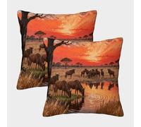 WXLWHR Fundas Cojines con Ñu Juego De 2, Poliéster Suave Funda De Almohada con Cremallera Invisible, Fundas Decorativas para Sala De Estar Sofás, 45x45cm