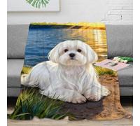 WXLWHR Manta De Franela Perro Blanco Lindo, Manta para Sofá con Diseño De Lago al Atardecer, Suave Y Esponjoso Adecuado para Sala De Estar O Sofá 50x60inch(127x152cm)