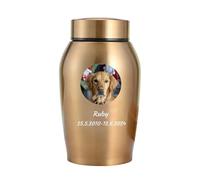 WXMYOZR Urnas para Cenizas de Perros, Urnas Personalizadas para Cenizas de Acero Inoxidable Urnas funerarias Personalizadas para Perros Urnas conmemorativas para Perros,Oro,Big