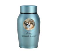 WXMYOZR Urnas para Cenizas de Perros, Urnas Personalizadas para Cenizas de Acero Inoxidable Urnas funerarias Personalizadas para Perros Urnas conmemorativas para Perros,Azul,Little