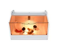 WXPXYBF Incubadora de Huevos Totalmente automática con Caja de Calentamiento y enfriamiento para codornices, Tortugas y erizos.