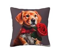 WXXWXD Funda de almohada de felpa de doble cara con diseño de perro parecido a un caballero (18 x 18 pulgadas), una funda de almohada decorativa versátil para sofás y dormitorios.
