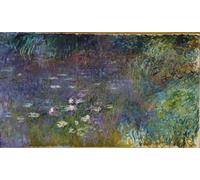WYKUJMYTO Pinturas Famosas Póster en Lienzo Impresión de Arte Lienzo La cuenca de los nenúfares sin sauces por la mañana de Claude Monet para la Decoración de la Sala de Estar 60x90cm
