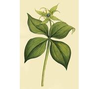 WYKUJMYTO Pinturas Famosas Póster en Lienzo Impresión de Arte Lienzo Parislate de hierbas de Unbekannt para la Decoración de la Sala de Estar 60x90cm