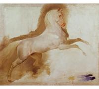 WYKUJMYTO Vintage Lienzo Pintura Vintage Pinturas Póster Arte Pared Caballo de Joachim Murat de Antoine Jean Gros para Decoraciones del Hogar 60x90cm