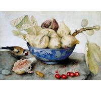 WYKUJMYTO Vintage Lienzo Pintura Vintage Pinturas Póster Arte Pared Copa china con higos cerezas y jilguero de Giovanna Garzoni para Decoraciones del Hogar 60x90cm