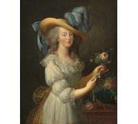 WYKUJMYTO Vintage Lienzo Pintura Vintage Pinturas Póster Arte Pared María Antonieta con un vestido de muselina de Elisabeth Louise After Vigee Lebrun para Decoraciones del Hogar 60x90cm