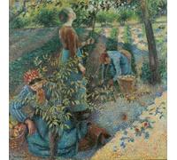 WYKUJMYTO Vintage Pinturas Retratos Sobre Lienzo Lienzo Noderno Pintura Recogida de frutas de Camille Jacob Pissarro para la Decoración del Hogar del Dormitorio 60x90cm