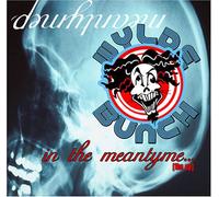 Wylde Bunch - In the Meantyme the Ep