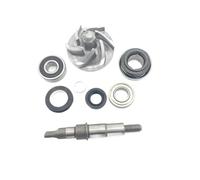 WYNAnGAI Pieza del Motor de la Bomba de Agua Compatible con los Modelos ATV UTV Cougar - Falcon 250 para número de Pieza 250 CC