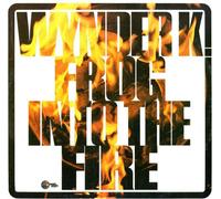 Wynder K. Frog - Into the Fire [Vinilo]