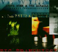 Wynn, Steve - Static Transmission -Digi