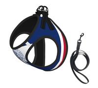 Wyoming State Flag - Juego de arnés y correa para perros pequeños y gatos, chaleco de correa ajustable sin tirones, arnés de malla suave transpirable para perros pequeños y medianos para pasear al