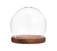 WYQXTY Vitrina con campana de cristal Terrario campanario de vidrio redondo con base madera varios tamaños(106*114MM)