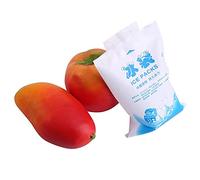 Wytino Paquetes de Hielo en Gel, 10 Piezas de Bolsas de Hielo Reutilizables Bolsas de enfriamiento de Gel para Alimentos Verdura Vino Cuidado del Dolor Uso Industrial(400ml)