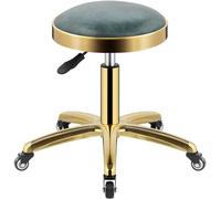WYUYIWH Taburete redondo de piel sintética con ruedas, taburete giratorio con ruedas, para salón de belleza, spa, mostrador de maquillaje, con 5 garras y ruedas de titanio, altura ajustable de 43 a 58