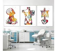 WZXGHE Póster de anatomía y medicina, póster de anatomía con corazón, pulmones, cerebro, Adecuado para decoración para clínica, sin marco (A, 3x50x70cm, Sin marco)