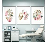 WZXGHE Póster de anatomía y medicina, póster de anatomía con corazón, pulmones, cerebro, Adecuado para decoración para clínica, sin marco (C, 3x40x60cm, Sin marco)