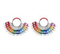 Wzxksoac 2X Organizador PortáTil de Llaves con Anillo de Metal con 16 de Resorte y Etiquetas para Llaves con Anillo y Ventana para Etiquetas