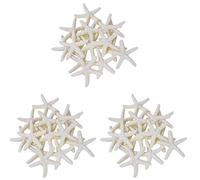 Wzxksoac 30 Piezas de Color Cremoso LáPiz Estrellas de Mar para Decoraciónde Bodas, Decoracióndel Hogar Y Proyectos de