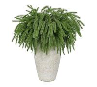 Wzxksoac 8 Ramas de Pino Norfolk de 47 cm para Navidad, Tallos de Vegetación Artificial, Ramas de Pino Norfolk para Guirnalda.