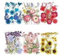 Wzxksoac Juego de 6 Flores Secas Prensadas, Plantas Naturales Reales, Velas de Flores, Molde de Resina Epoxi, Material, Paquete de Manualidades