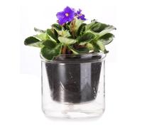 Wzxksoac Maceta de Riego Automático de 4 Pulgadas, Maceta para Violeta Africana, Jardinera de Vidrio con Riego Inferior para Plantas de Interior y Propagación.