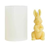 Wzxksoac Molde de Silicona de Conejo de SimulacióN 3D para DecoracióN de Pasteles Conejito de Pascua FabricacióN de Velas Molde de Resina de Yeso para Velas Perfumadas