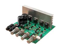 Wzxksoac Nueva Placa de Módulo Amplificador OK200W de 2 Canales de 4-8 Ohmios, Placa de Amplificadores de Potencia de 2 Canales AC18-26V de Doble Grupo, Acabado A