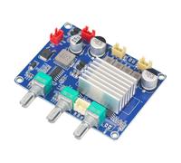 Wzxksoac Placa Amplificadora de Audio TPA3116 de Clase D, Módulo de Audio de Alta Fidelidad, Alta Potencia, Doble Canal, 2 X 50 W, CC 12-15 V.