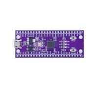 Wzxksoac Placa de Desarrollo MCU W806: Placa Base de Chip MCU IoT de Bajo Consumo con Tecnología Táctil Mejorada e Integración de Sistemas Periféricos.